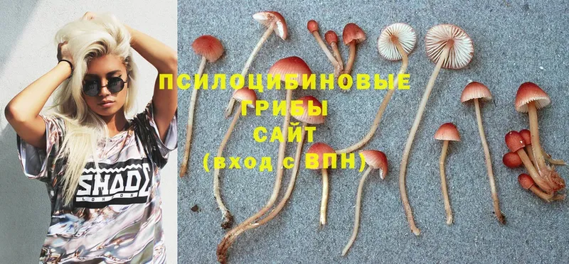 kraken зеркало  Луза  Псилоцибиновые грибы MAGIC MUSHROOMS 